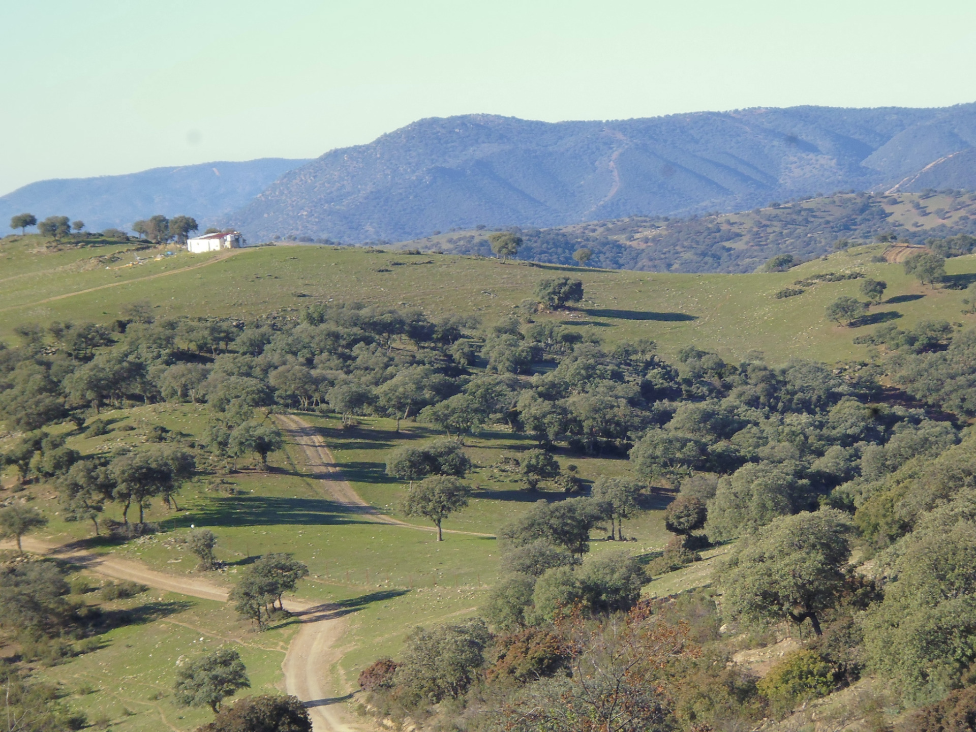 Cortijo Mojón de la Legua